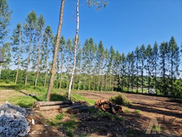 działka na sprzedaż 1823m2 działka Polna