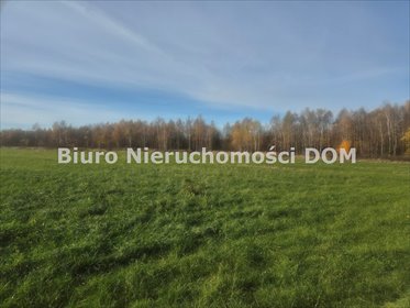 Działka leśna 11 319 m² pod inwestycję w Łochyni działka Łochynia