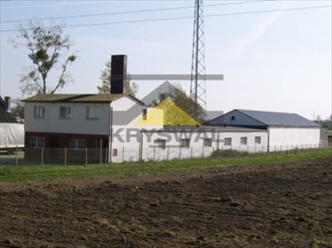 lokal użytkowy na sprzedaż 750m2 lokal użytkowy Jenin
