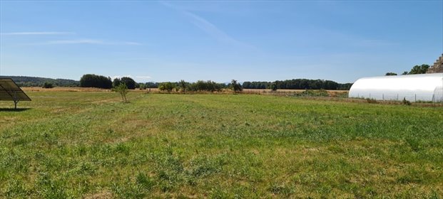 działka na sprzedaż 1500m2 działka Skorzynice