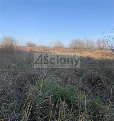 działka na sprzedaż 5183m2 działka Duchnów