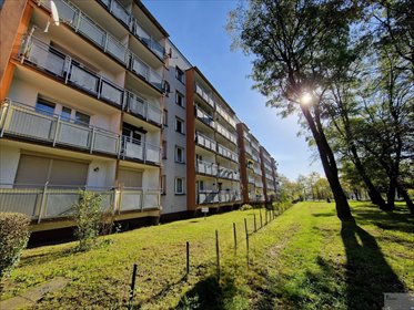 mieszkanie na wynajem 38m2 mieszkanie Bytom, Miechowice, Stolarzowicka