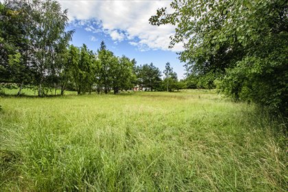 działka na sprzedaż 2300m2 działka Grodziszcze