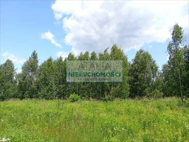 Działka budowlana z mediami, las i szybki dojazd działka Oddział