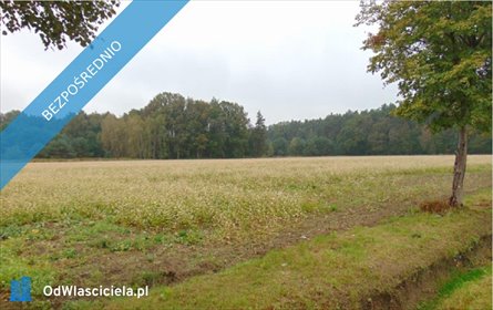 działka na sprzedaż 14670m2 działka Łubniany