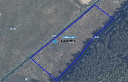 Działka 4623 m² w Osówku z lasem i potencjałem działka Osówek