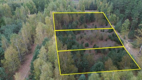 Polecam działkę rolną 3600 m² z drzewami i mediami w pobliżu działka Wola Prażmowska, Wola Prażmowska