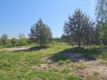 działka na sprzedaż 4397m2 działka Graniczna Wieś