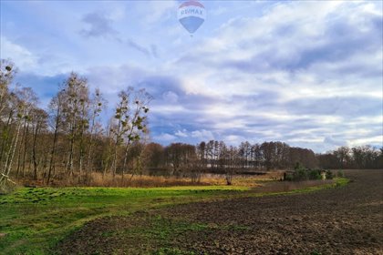 działka na sprzedaż 31500m2 działka Buszewo