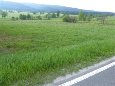 działka na sprzedaż 3000m2 działka Duszniki-Zdrój, Zieleniec