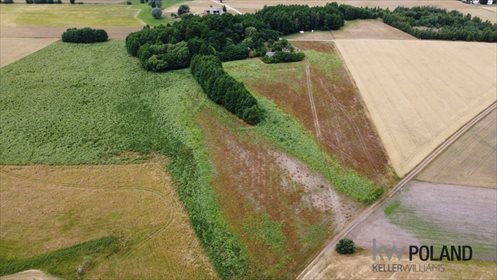 Działka siedliskowa na sprzedaż Siedleczek 84 106m2 Foto 3
