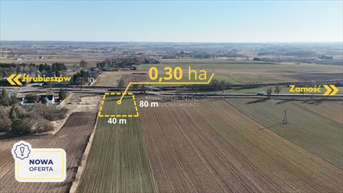 działka na sprzedaż 3000m2 działka Alojzów