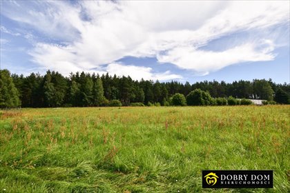Działka 3400 m² przy lesie z prądem (Sofipol, Podlaskie) działka Sofipol