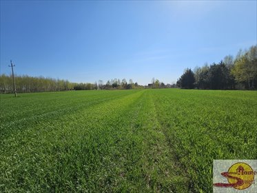 Działka rolna 4500 m² z dostępem i III klasą ziemi działka Mirów Stary