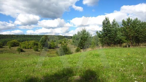 Działka siedliskowa na sprzedaż Pawłowo, Xxx 28 911m2 Foto 3