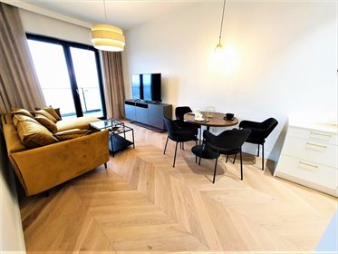 mieszkanie na wynajem 43m2 mieszkanie Katowice, Śródmieście, Góreckiego