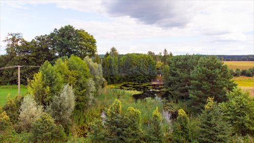 Dom na sprzedaż Żerań Mały 250m2 Foto 2