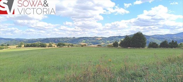 działka na sprzedaż 3000m2 działka Niedźwiedzica