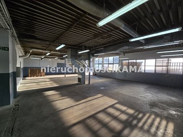 Na wynajem przestronna hala 430 m² w Czechowicach-Dziedzicach magazyn Czechowice-Dziedzice
