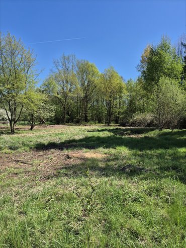 Zapraszam do zakupu działki 2900 m² w Tworogu Małym działka Tworóg Mały, wiejska