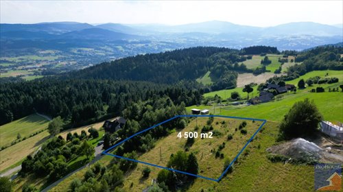 Sprzedam działkę 45 arów z widokami na Tatry i Beskidy działka Pisarzowa