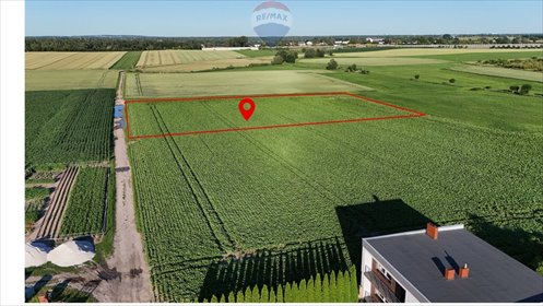 Gotowa inwestycja w Kobylnikach – działka z zatwierdzonym projektem działka Kobylniki, Polna