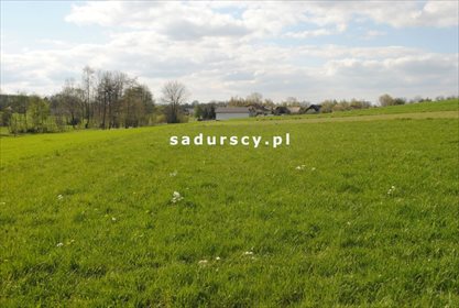 Działka rolna na sprzedaż Ściborzyce 34 334m2 Foto 3
