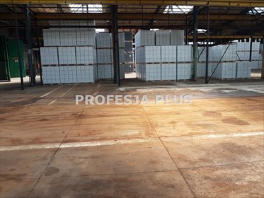 Magazyn na wynajem Katowice 3 350m2 Foto 3