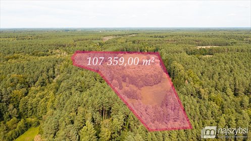 Polecam dużą działkę 107 359 m² zalesioną w Czermnicy działka Czermnica, Centrum