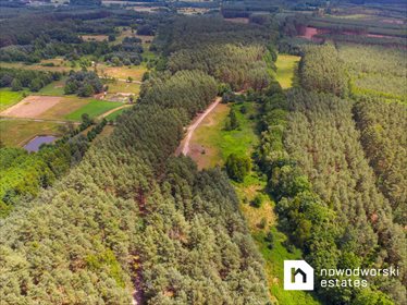 Działka budowlana na sprzedaż Mirków, Adama Mickiewicza 18 400m2 Foto 6