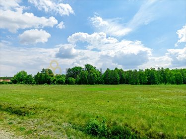 Rozległa działka inwestycyjna 10 900 m² w Mieszkowie działka Mieszków