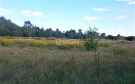 działka na sprzedaż 13249m2 działka Częstochowa, Zawodzie, Mirów, Mirów