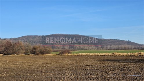 działka na sprzedaż 1200m2 działka Książnica