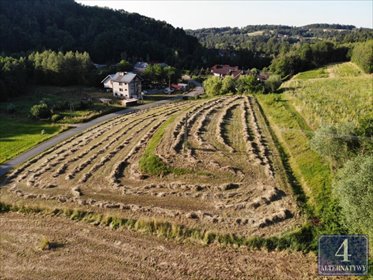 Sprzedam działkę 5500 m² w Bieśniku - cisza i tereny zielone działka Bieśnik