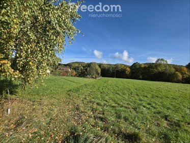 działka na sprzedaż 2743m2 działka Rzyki, os. Leśniczówka