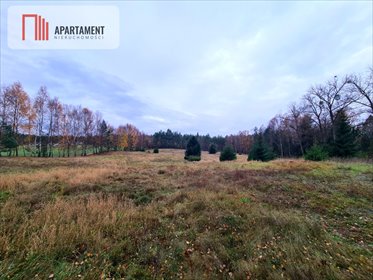 Działka rekreacyjna 13 500 m² w Starej Kiszewie zapraszam działka Stara Kiszewa