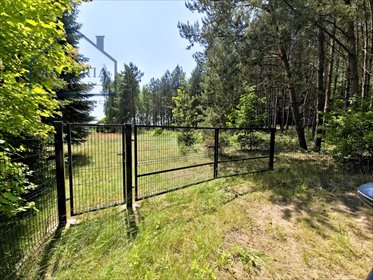 Zapraszam do obejrzenia działki 3 200 m² w Skarlinie działka Skarlin