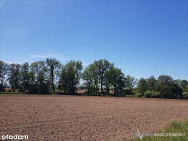 działka na sprzedaż 3100m2 działka Bogdaszowice