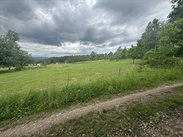 działka na sprzedaż 7376m2 działka Kudowa-Zdrój, Słoneczna