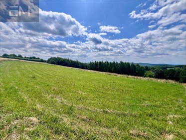 działka na sprzedaż 2300m2 działka Niewodna