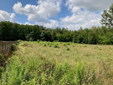 działka na sprzedaż 873m2 działka Aleksandrów Łódzki, Franin