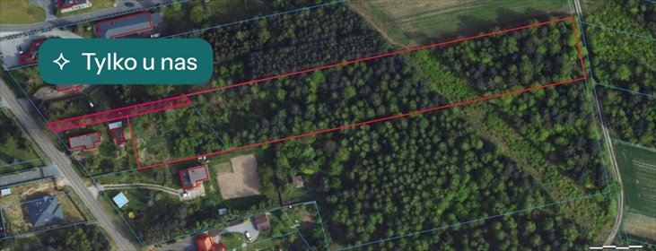 działka na sprzedaż 9458m2 działka Antoniów, Klonowa