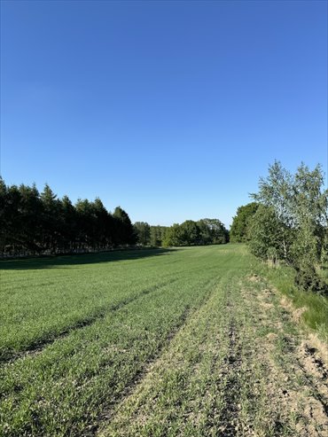 Sprzedam dużą działkę 6601 m² pod zabudowę mieszk.-usługową działka Katowice