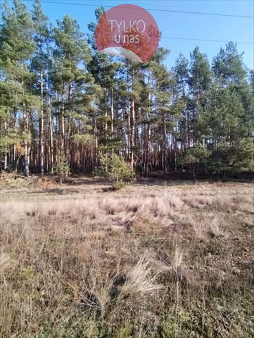 działka na sprzedaż 2093m2 działka Zarośle Cienkie