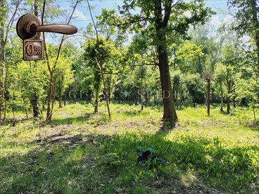 Działka budowlana z prywatnością i mediami, 2 520 m² działka Złotokłos, Urocza