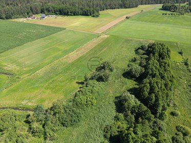 Działka rolna 4700 m² przy rzece Wierzyca - podział i warunki zabudowy działka Lipy