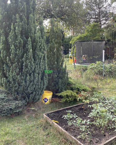 działka na sprzedaż 300m2 działka Kierszek