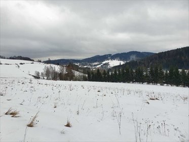 działka na sprzedaż 2600m2 działka Nowa Ruda