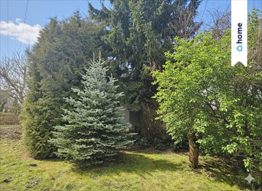 Działka rekreacyjna 440 m² z murowanym domem i ogrodem działka Włocławek, Lisek