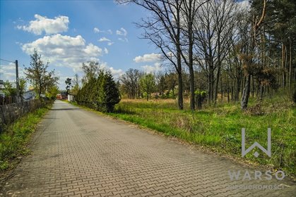 Działka budowlana na sprzedaż Izabelin-Dziekanówek 15 000m2 Foto 6